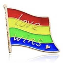 Pin's Drapeau Love Wins