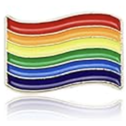 Pin's Pride Flag